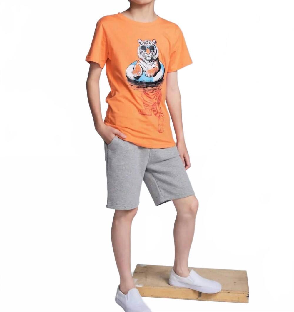 NEW APPAMAN boy's painted heather preston shorts in grey